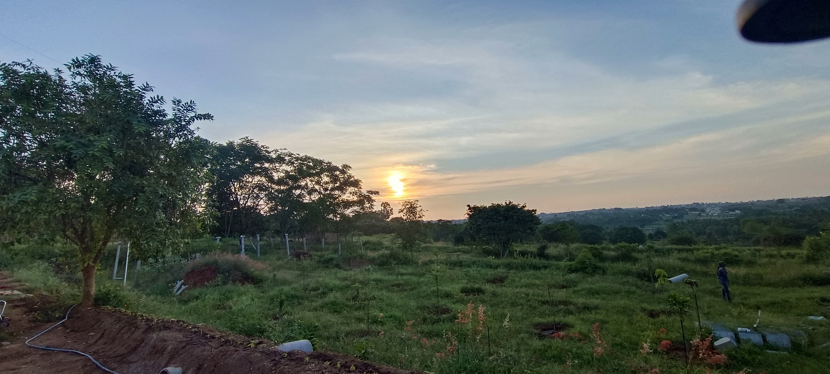 forest stay in hosur