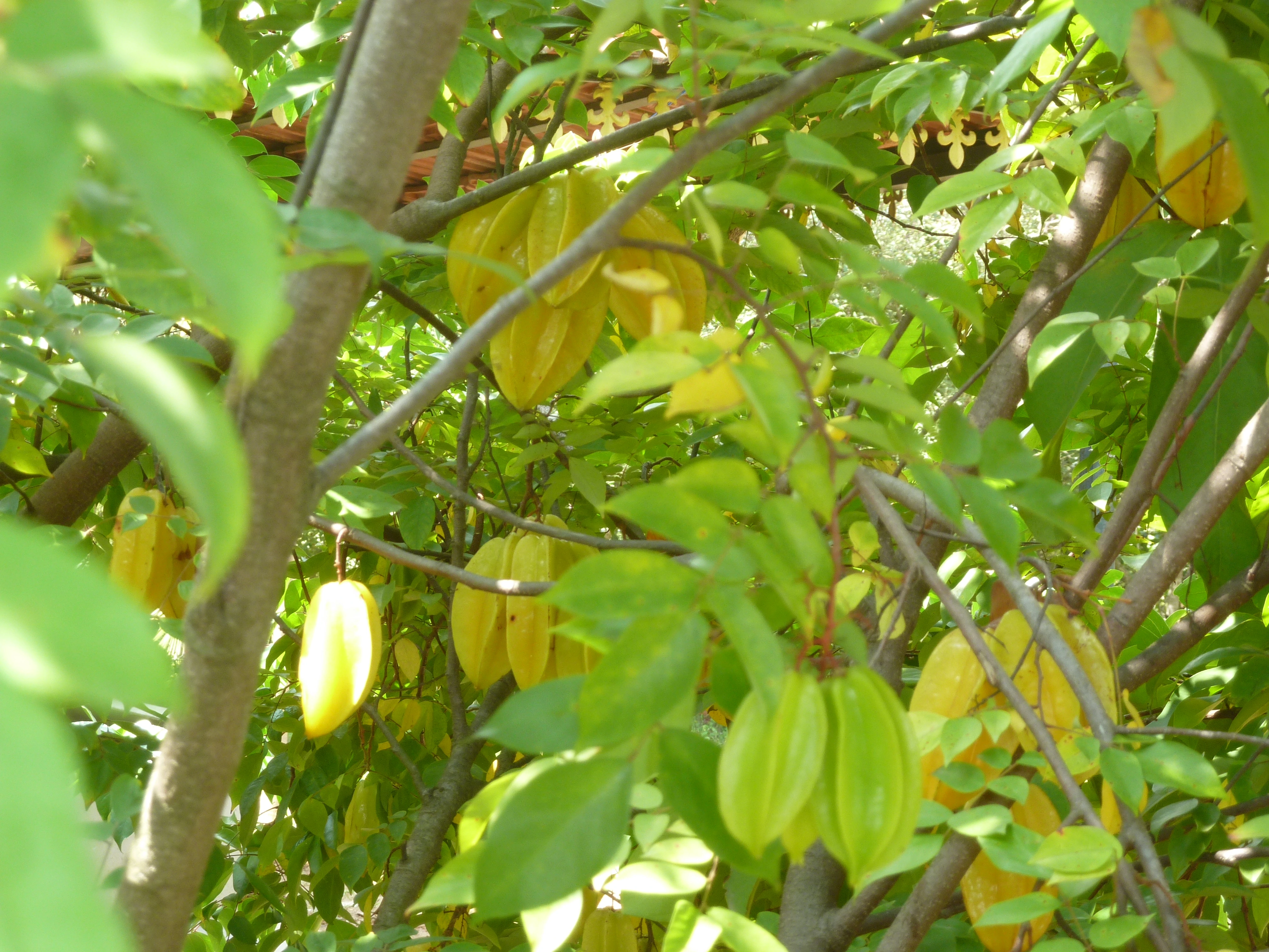 farm stay near bangalore